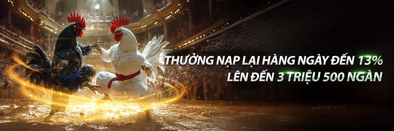 Đá Gà Trực Tuyến abc8 android